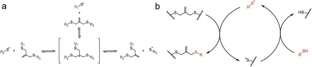 ?僅15秒！《AM》超快光降解生物水凝膠支架用于類器官傳代