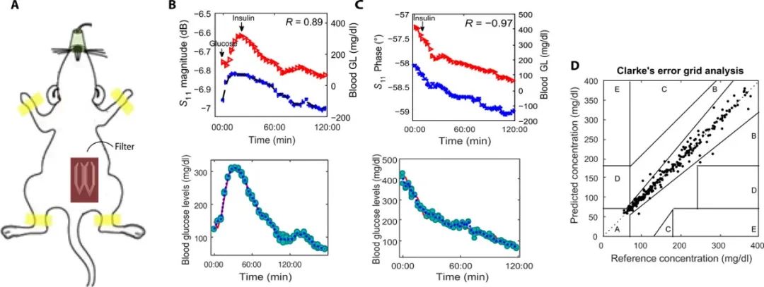 《Science》子刊：隔空測血糖！首創(chuàng)、高度靈敏、可穿戴、無創(chuàng)血糖監(jiān)測傳感器