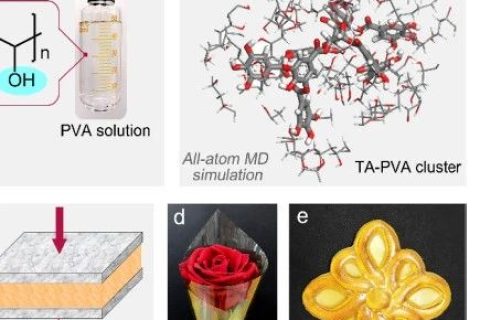 超越天然蛛絲！超高強(qiáng)度、極高韌性的超分子聚合物材料