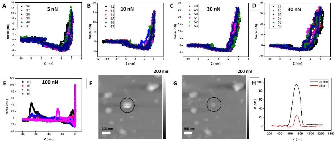 匹茲堡大學(xué)劉海濤/哈佛大學(xué)尹鵬《ACS Nano》：低密度，高強度的3D獨立DNA納米結(jié)構(gòu)雜化材料