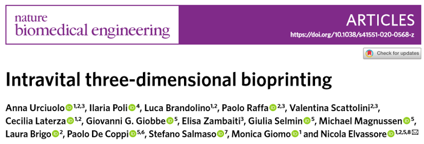 ?《Nat.Biomed.Eng.》:活體3D生物打印光敏聚合物水凝膠！有望代替常規(guī)生物打印