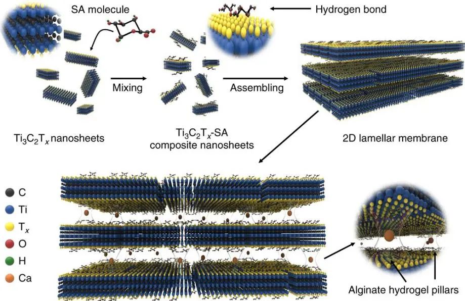 西安建筑科技大學王磊教授《自然·通訊》：?Ti3C2Tx新用途！實現(xiàn)100％硫酸鈉截留率和高水滲透性