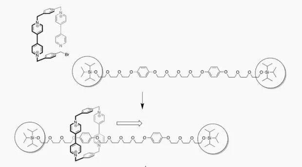 諾貝爾化學獎得主斯托達特：中國青年科學家太在乎發(fā)論文了