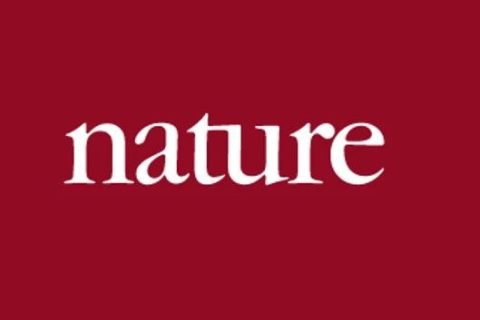 《Nature》子刊：注射這種光敏性聚合物納米粒子，成功恢復(fù)盲鼠視力