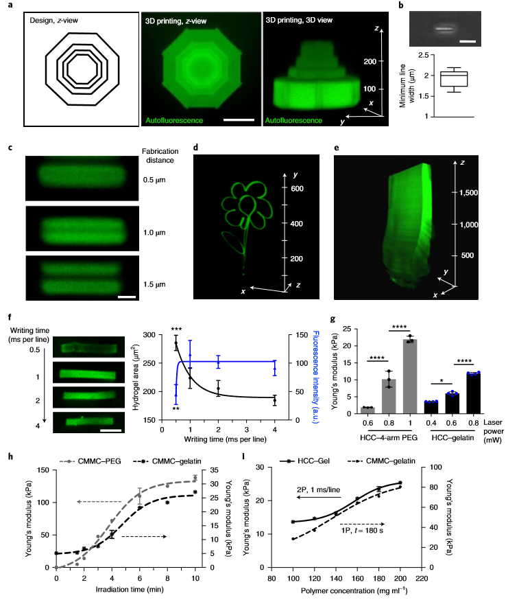 ?《Nat.Biomed.Eng.》:活體3D生物打印光敏聚合物水凝膠！有望代替常規(guī)生物打印