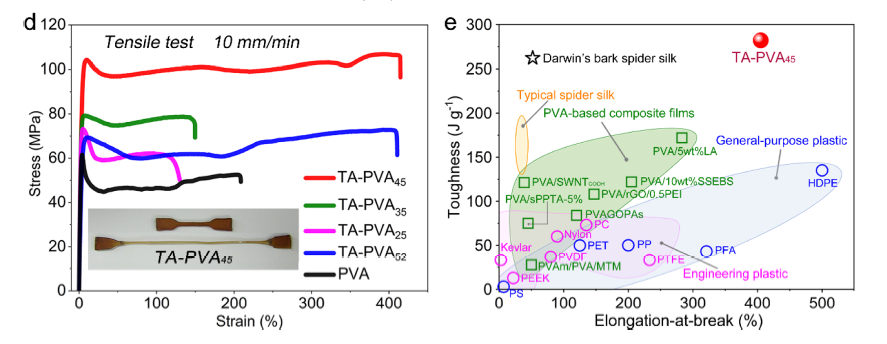 超越天然蛛絲！超高強(qiáng)度、極高韌性的超分子聚合物材料