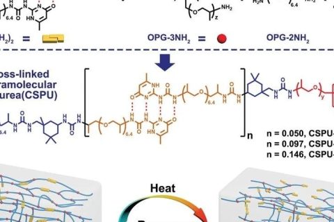 高韌性、可多次回收的超分子聚氨酯