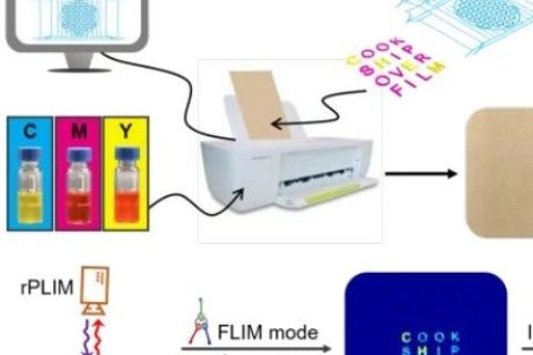 復旦大學王旭東《JACS》：三級加密！新一代發(fā)光防偽技術！