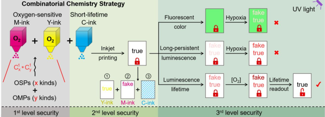 復旦大學王旭東《JACS》：三級加密！新一代發(fā)光防偽技術(shù)！