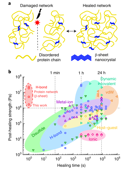 《自然·材料》：最強(qiáng)自修復(fù)材料！1秒自愈合，愈合強(qiáng)度高達(dá)23 MPa