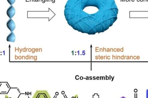 上海交通大學(xué)馮傳良/邱惠斌《AFM》：多級(jí)次手性超分子自組裝