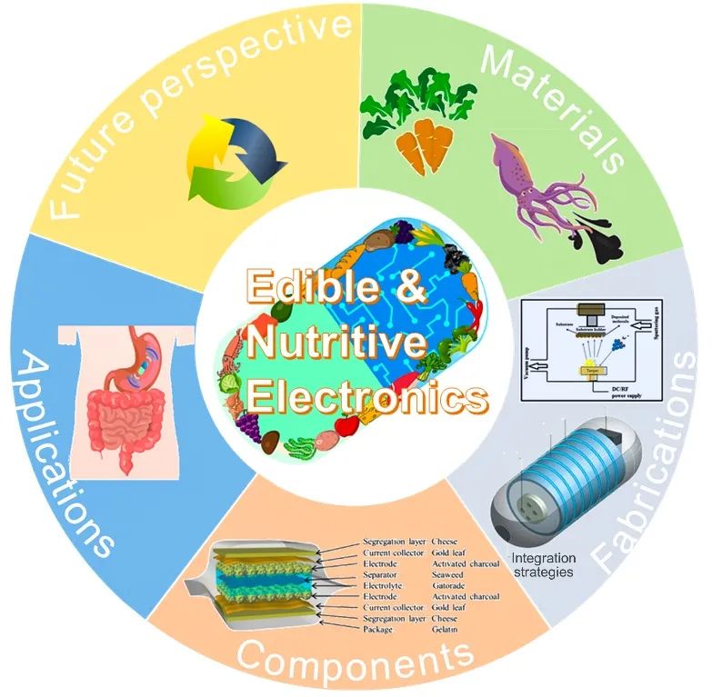 五邑大學(xué)巫瑩柱副教授與亞利桑那州立大學(xué)姜漢卿教授綜述：可食用、有營養(yǎng)電子器件：材料、制備方法、器件和應(yīng)用