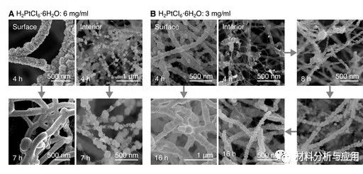 北京科技大學(xué)等《ACS Appl. Electron. Mater.》：使用碳納米管支架開(kāi)發(fā)彈性，堅(jiān)固和高度多孔的金屬泡沫