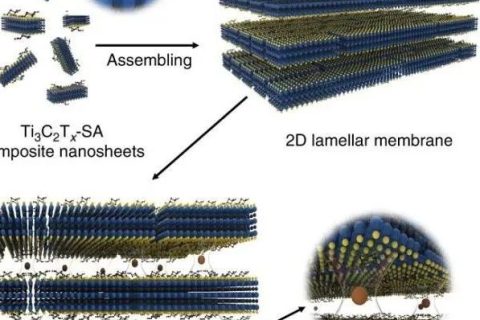 ?Ti3C2Tx新用途！實(shí)現(xiàn)100％硫酸鈉截留率和高水滲透性