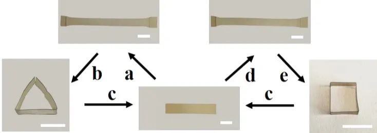 浙江大學(xué)計(jì)劍、沈介澤：透過(guò)現(xiàn)象用本質(zhì)！一種受高分子粘彈性啟發(fā)的形變策略