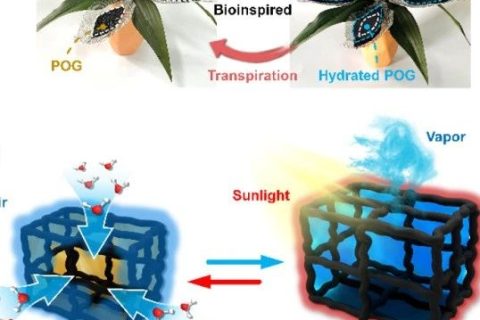 寧波材料所陳濤團隊《Angew》：受鐵蘭啟發(fā)的仿生有機凝膠進行大氣水分收集！