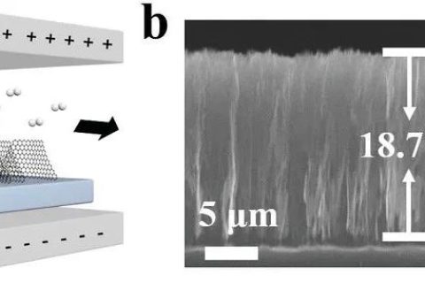北京大學張錦院士團隊：垂直排列的石墨烯陣列！散熱技術新突破