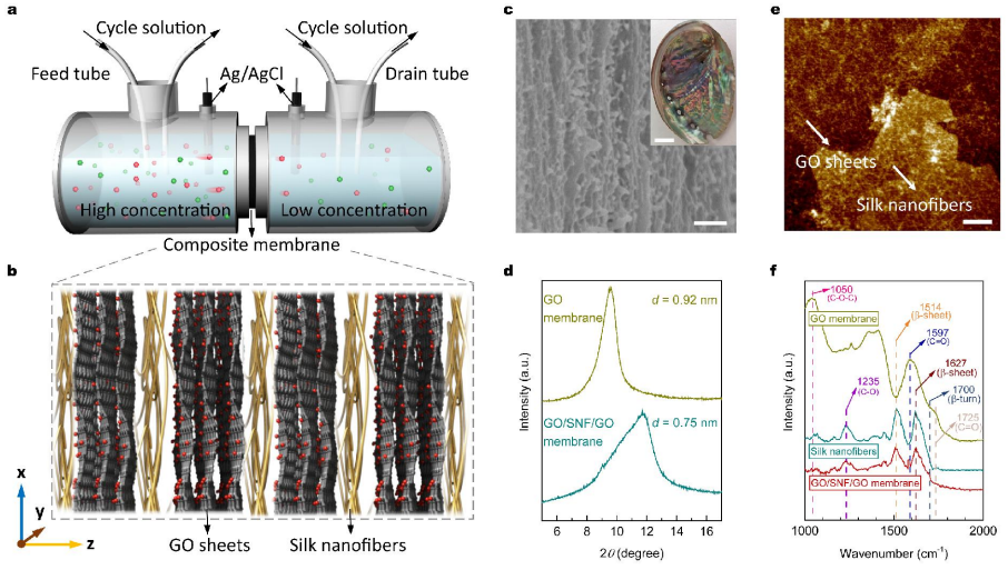中科院理化所聞利平《ACS Nano》：仿生蠶絲交聯(lián)復(fù)合膜實(shí)現(xiàn)高效滲透能收集