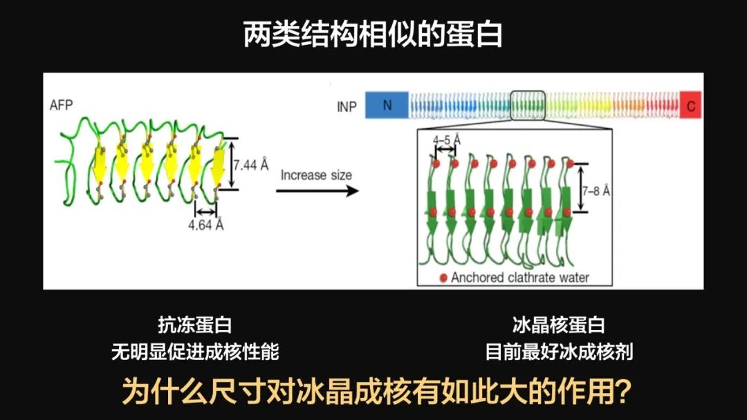 王健君：實證百年科學猜想，人體凍存未來可期