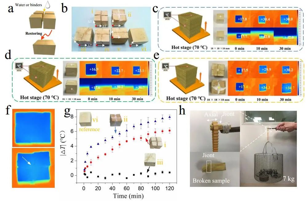 江漢大學(xué)曹一平《ACS Nano?》：仿生新成果！響應(yīng)空氣-水的復(fù)合材料，具有優(yōu)異的隔熱、自修復(fù)和自生長能力