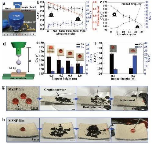 清華大學(xué)鄭泉水院士團(tuán)隊(duì)《AFM》：耐磨損、耐沖擊、自清潔的超疏水/超疏油微納復(fù)合材料