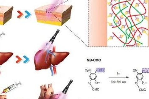 液體繃帶！具有強(qiáng)大組織粘合力、出色的止血、抗菌性能