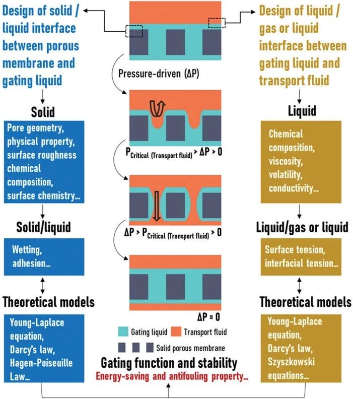 廈門大學(xué)侯旭課題組綜述：液基多孔膜，微納孔道藏世界，液體門控通乾坤！