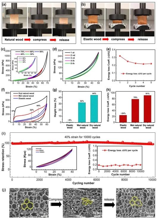 ?胡良兵/李騰《ACS Nano》：彈性木材！歷經(jīng)萬次壓縮，性能如初！