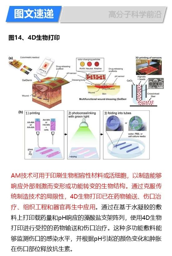 華盛頓州立大學(xué)林躍河《Materals Today》:3D/4D打印智能聚合物和納米復(fù)合材料