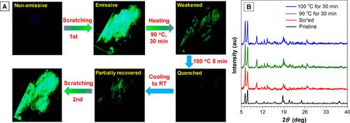 唐本忠院士團隊《JACS》：控制AIEgen晶體的分子運動，實現(xiàn)力致發(fā)光