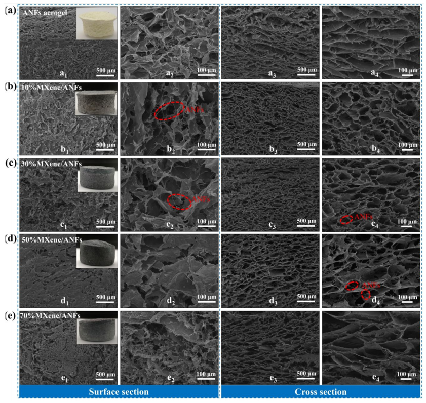 Kevlar納米纖維和MXene再登《ACS Nano》：陜科大張美云團(tuán)隊(duì)：高回彈性、耐高溫、高靈敏度氣凝膠傳感器