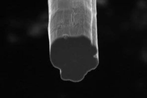 史上最強碳納米管纖維！強度超越凱夫拉，導(dǎo)電性首破10 MS/m