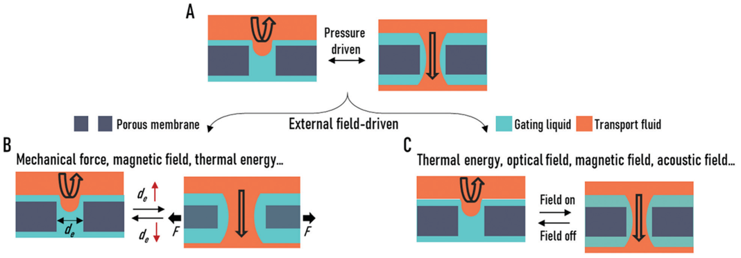 廈門大學(xué)侯旭課題組綜述：液基多孔膜，微納孔道藏世界，液體門控通乾坤！