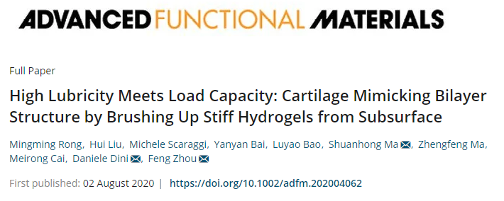 蘭州化物所周峰團(tuán)隊(duì)《AFM》：仿天然軟骨的雙層水凝膠實(shí)現(xiàn)高負(fù)載與低摩擦！