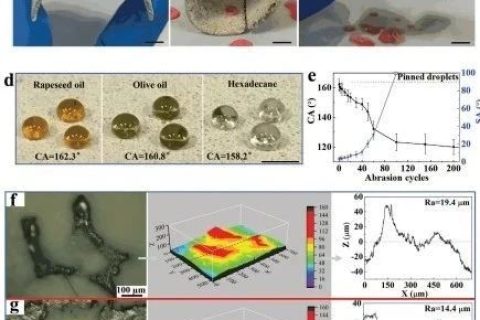 清華大學(xué)鄭泉水院士團(tuán)隊(duì)《AFM》：耐磨損、耐沖擊、自清潔的超疏水/超疏油微納復(fù)合材料