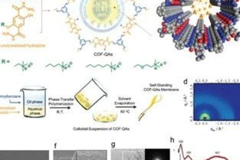 具有最高氫氧化物電導(dǎo)率的COFs膜，實(shí)現(xiàn)超快陰離子傳輸