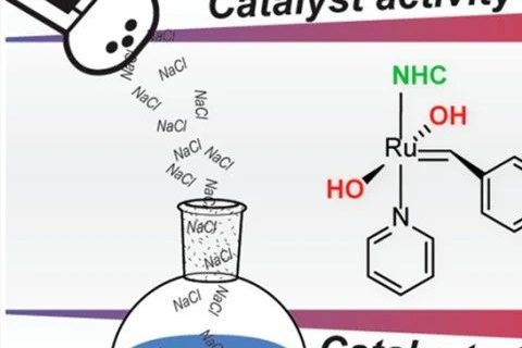 《JACS》：“開環(huán)易位聚合”像炒菜，加點鹽可控性更好！