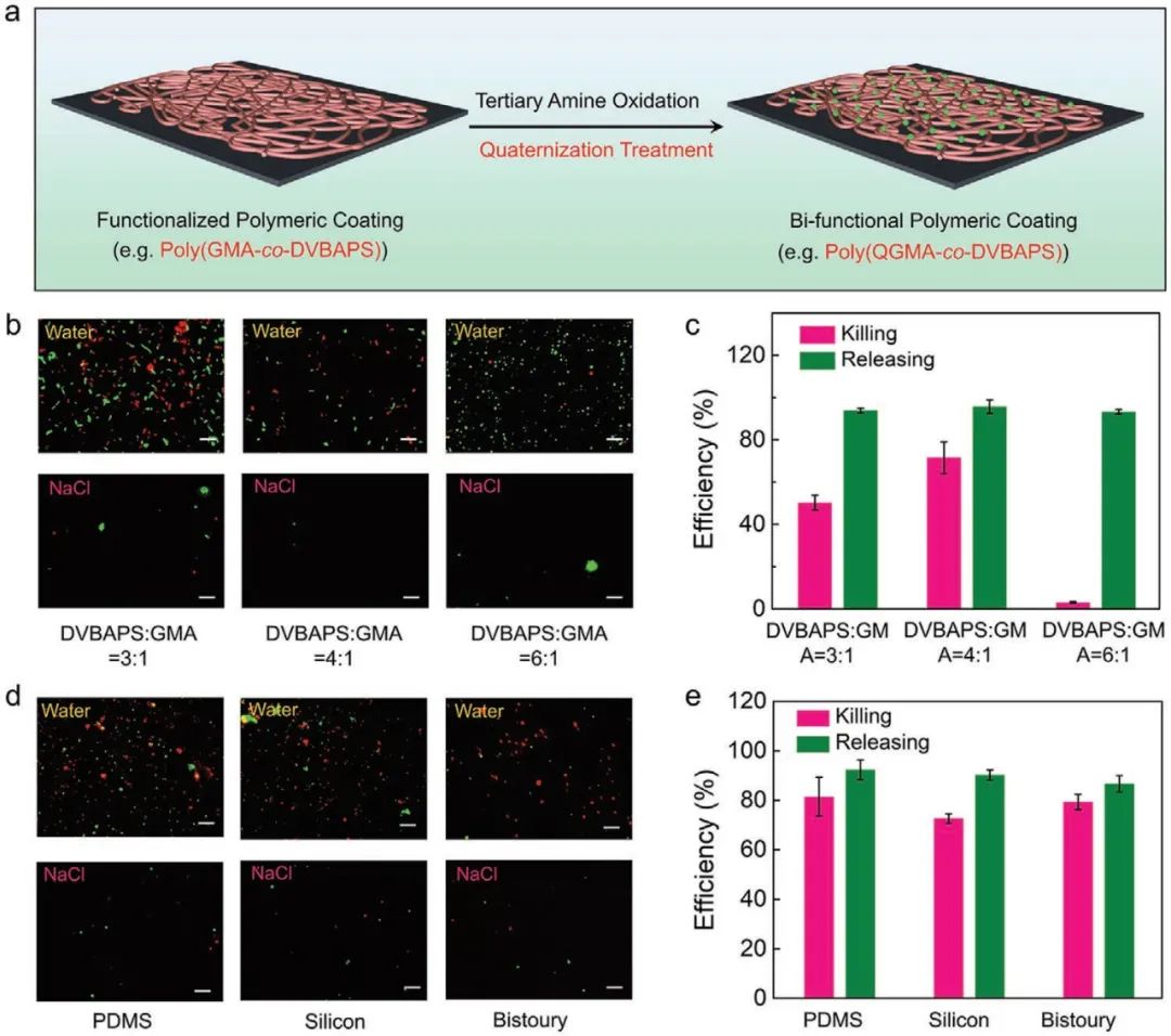 浙江工業(yè)大學楊晉濤《AFM》：表面涂層領域新突破！一種可控功能化聚合物表面的通用涂層策略