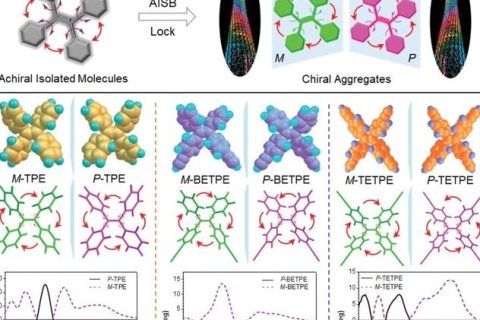 提出超越分子科學的“聚集態(tài)科學”