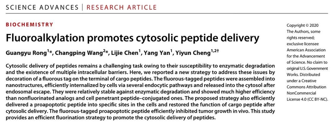 華東師大程義云團(tuán)隊(duì)《Sci.Adv.》：開(kāi)發(fā)出多肽胞內(nèi)遞送新技術(shù)