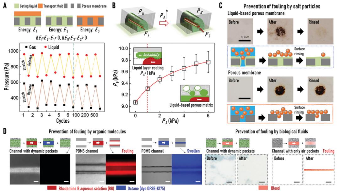 廈門大學(xué)侯旭課題組綜述：液基多孔膜，微納孔道藏世界，液體門控通乾坤！