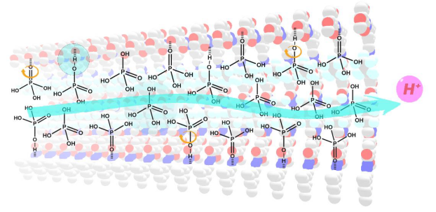 南京理工大學張根《JACS》：在質(zhì)子交換隔膜材料方面取得最新研究進展