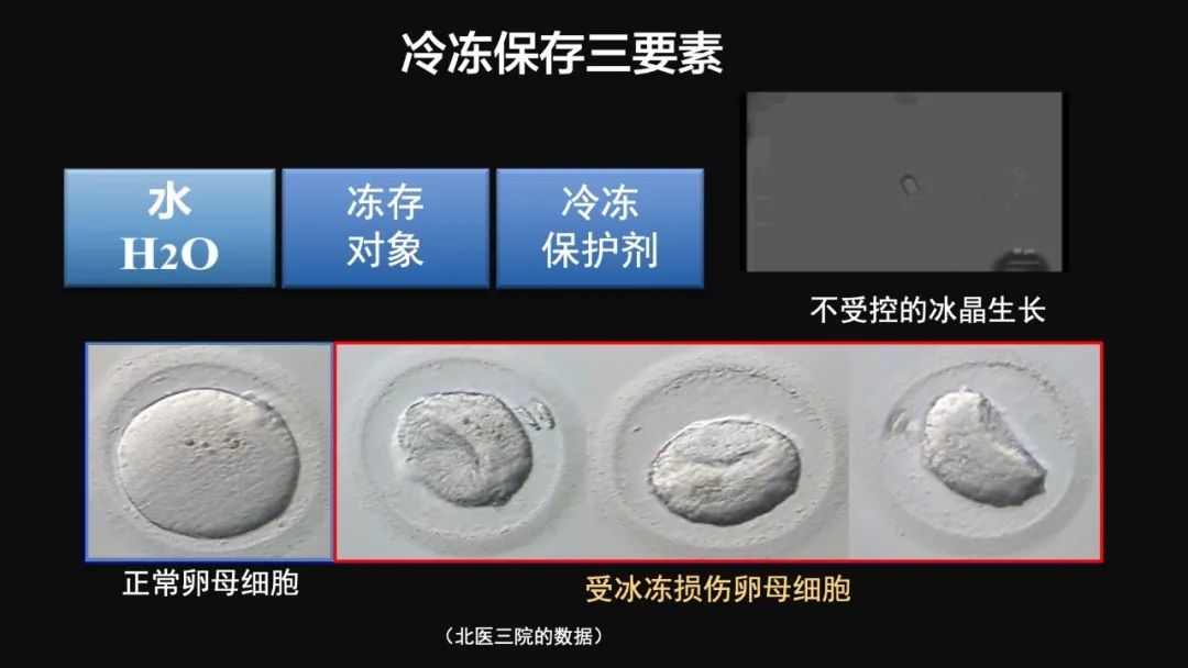 王健君：實證百年科學猜想，人體凍存未來可期