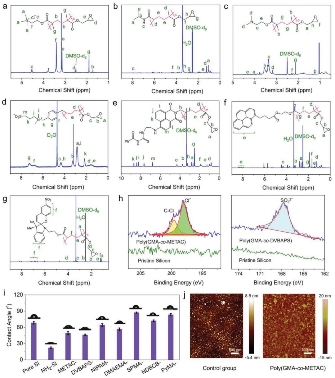 浙江工業(yè)大學楊晉濤《AFM》：表面涂層領域新突破！一種可控功能化聚合物表面的通用涂層策略