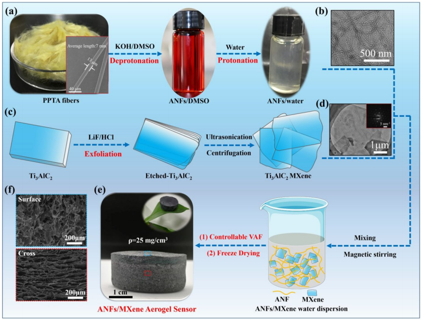 Kevlar納米纖維和MXene再登《ACS Nano》：陜科大張美云團(tuán)隊(duì)：高回彈性、耐高溫、高靈敏度氣凝膠傳感器