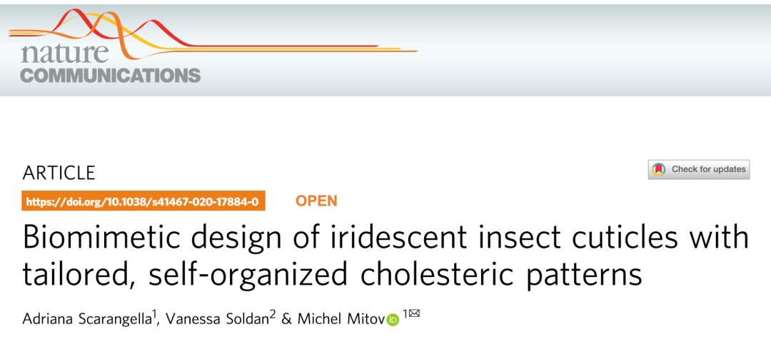《Nature》子刊：仿昆蟲表皮的膽甾型圖案設(shè)計用于密碼學(xué)標(biāo)簽！