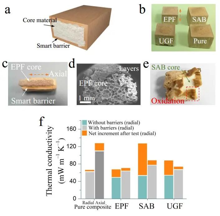 江漢大學(xué)曹一平《ACS Nano?》：仿生新成果！響應(yīng)空氣-水的復(fù)合材料，具有優(yōu)異的隔熱、自修復(fù)和自生長能力