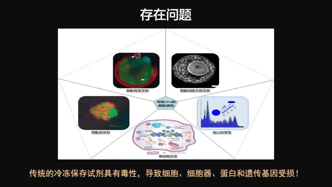 王健君：實證百年科學猜想，人體凍存未來可期