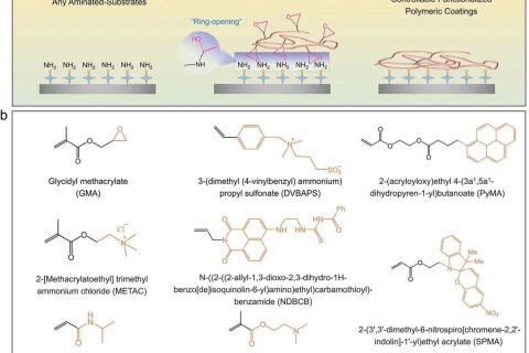表面涂層領(lǐng)域新突破！一種可控功能化聚合物表面的通用涂層策略