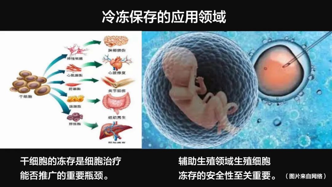 王健君：實證百年科學猜想，人體凍存未來可期